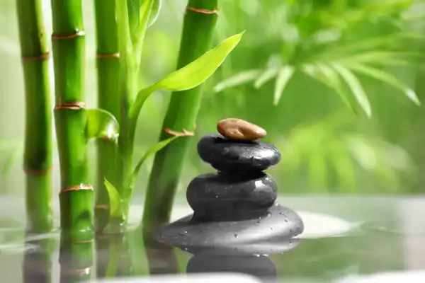 Bamboo Clean Fragrance - Clean Fragrances